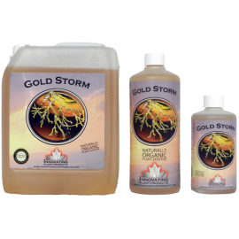 HOG Gold Storm 1L.
