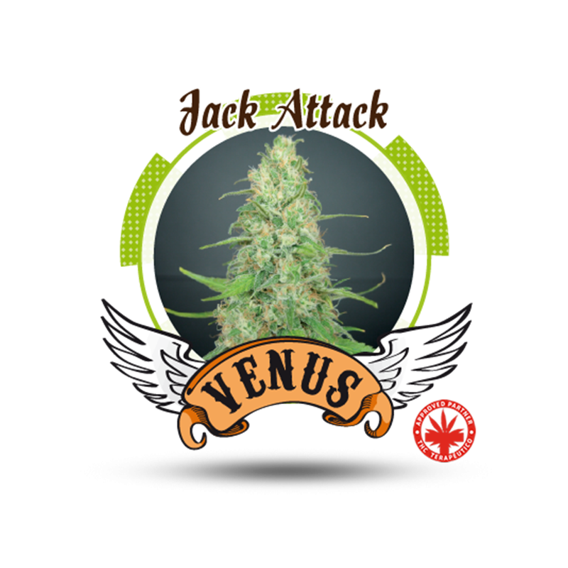 Venus Genetics - Jack Attack (3f)