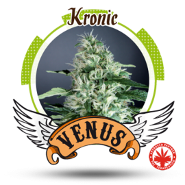 Venus Genetics - Kronic (5f)