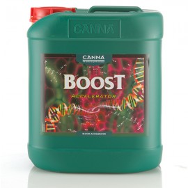 Boost Accelerator 5L (Canna) ^