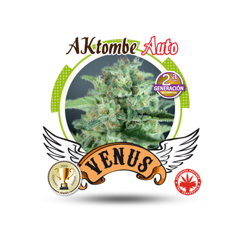 Venus Genetics - Aktombe Auto (5f)