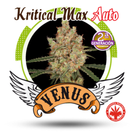 Venus Genetics - Kritical Max Auto (3f)