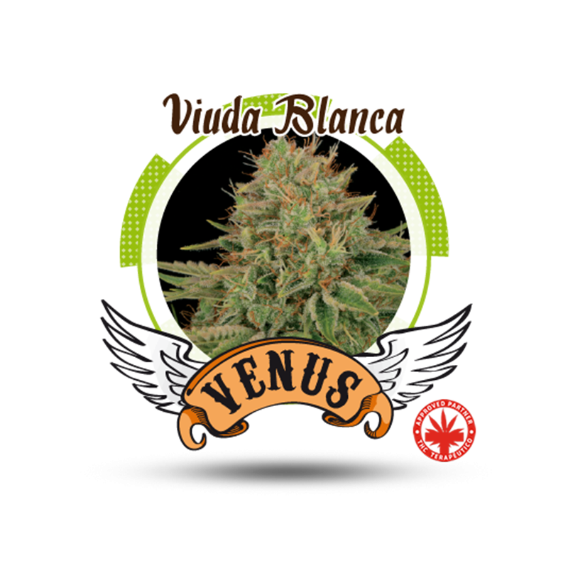 Venus Genetics - Viuda Blanca (5f)