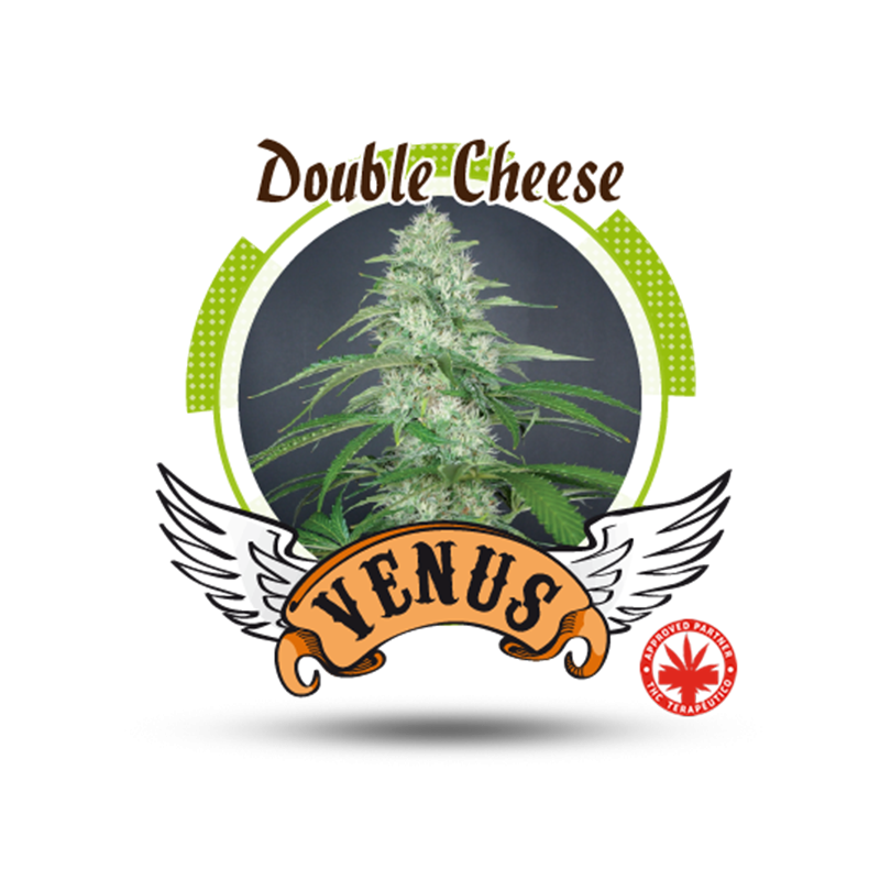 Venus Genetics - Double Cheese (3f)