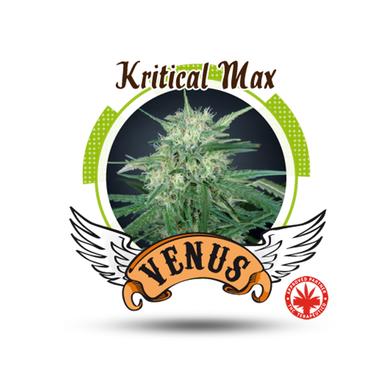 Venus Genetics - Kritical Max (5f)