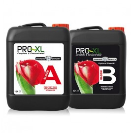 BLOOM A&B 5L PRO-XL