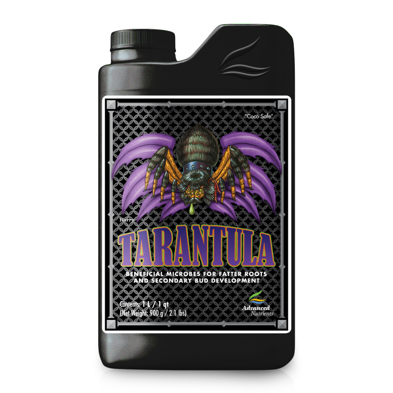 TARANTULA 1L A.N